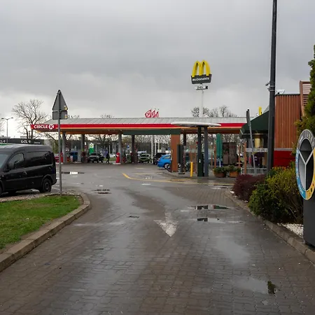 Homey Comfort By Bookinghost