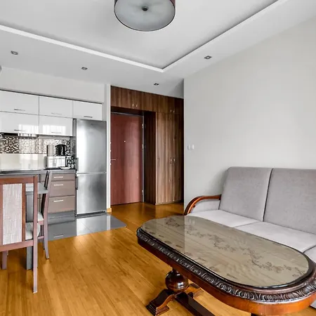 Homey Comfort Apartment *