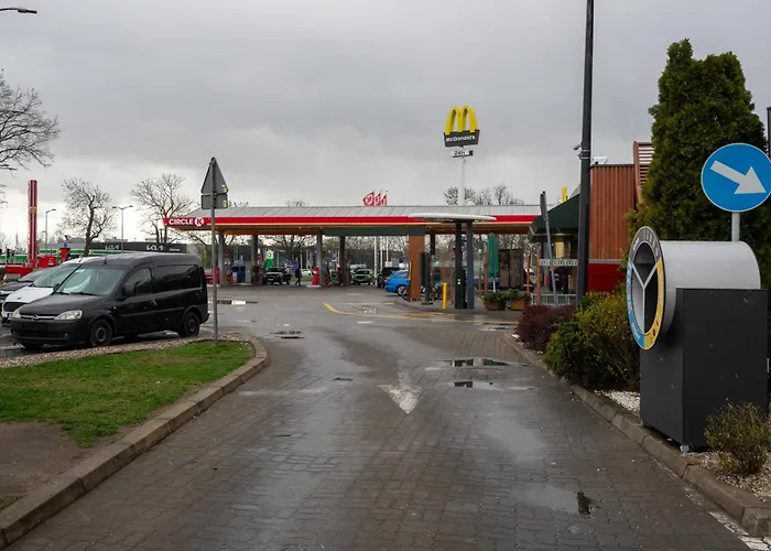 Homey Comfort By Bookinghost