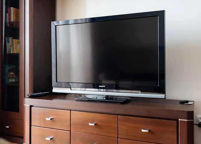 Homey Comfort By Bookinghost